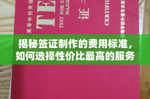 泉港揭秘签证制作的费用标准，如何选择性价比最高的服务？